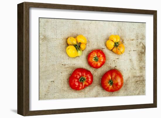 Tomatoes From Farm On Central Maine Coast-Justin Bailie-Framed Photographic Print