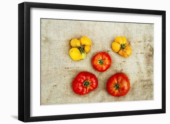 Tomatoes From Farm On Central Maine Coast-Justin Bailie-Framed Photographic Print