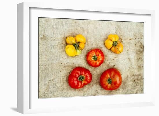 Tomatoes From Farm On Central Maine Coast-Justin Bailie-Framed Photographic Print