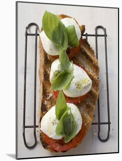Tomatoes, Mozzarella and Basil on Toasted Bread-null-Mounted Photographic Print