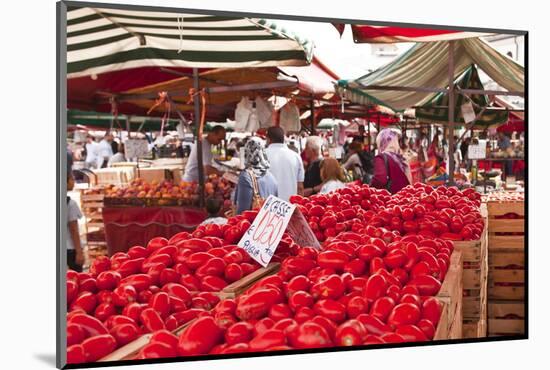 Tomatoes on Sale at the Open Air Market of Piazza Della Repubblica, Turin, Piedmont, Italy, Europe-Julian Elliott-Mounted Photographic Print