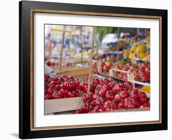 Tomatoes on Street Market Stall, Palermo, Sicily, Italy, Europe-Miller John-Framed Photographic Print