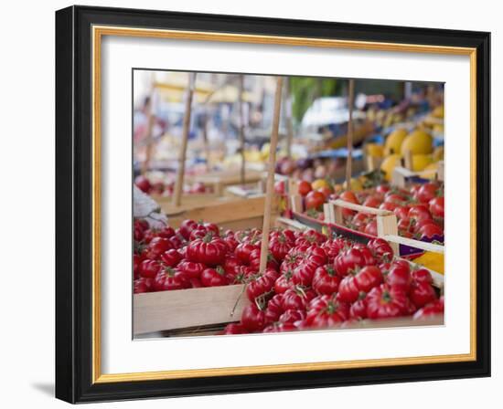 Tomatoes on Street Market Stall, Palermo, Sicily, Italy, Europe-Miller John-Framed Photographic Print