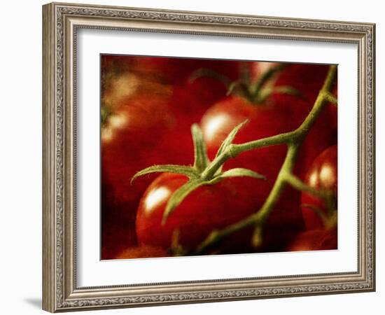 Tomatoes on the Vine-Steve Lupton-Framed Photographic Print