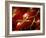 Tomatoes on the Vine-Steve Lupton-Framed Photographic Print