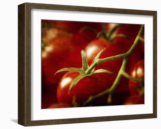 Tomatoes on the Vine-Steve Lupton-Framed Photographic Print