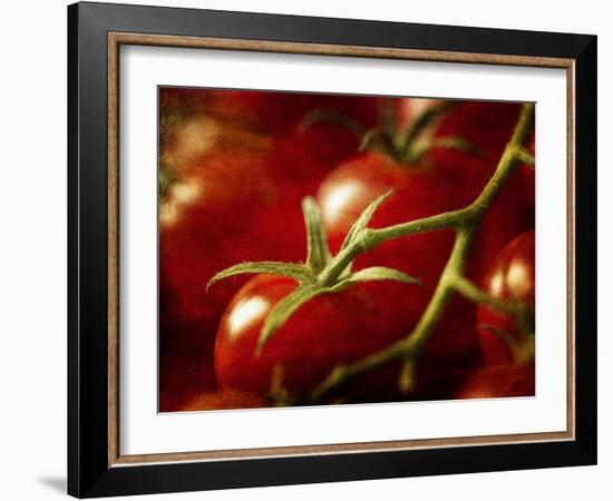 Tomatoes on the Vine-Steve Lupton-Framed Photographic Print