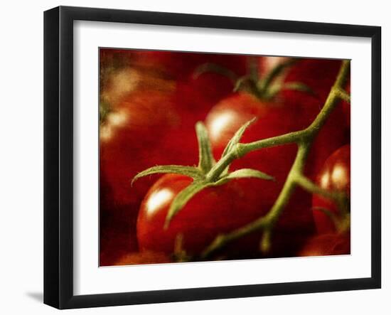 Tomatoes on the Vine-Steve Lupton-Framed Photographic Print