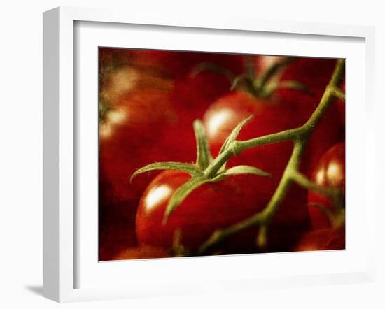 Tomatoes on the Vine-Steve Lupton-Framed Photographic Print