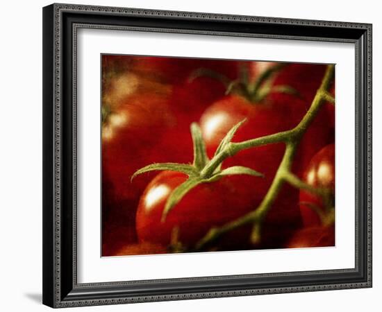 Tomatoes on the Vine-Steve Lupton-Framed Photographic Print