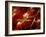 Tomatoes on the Vine-Steve Lupton-Framed Photographic Print