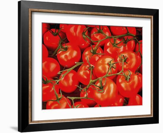 Tomatoes On The Vine-Dorothy Berry-Lound-Framed Giclee Print