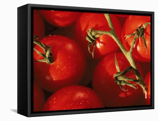 Tomatoes on Vine-Mitch Diamond-Framed Premier Image Canvas