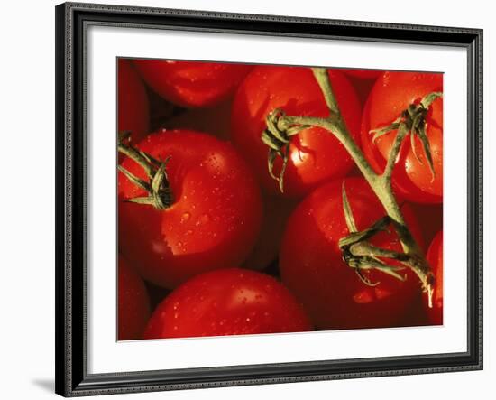 Tomatoes on Vine-Mitch Diamond-Framed Photographic Print