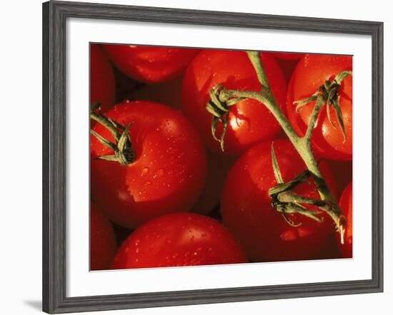 Tomatoes on Vine-Mitch Diamond-Framed Photographic Print