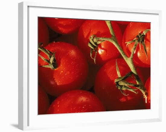 Tomatoes on Vine-Mitch Diamond-Framed Photographic Print