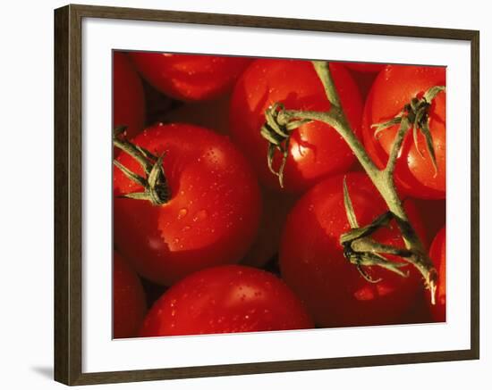 Tomatoes on Vine-Mitch Diamond-Framed Photographic Print
