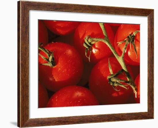 Tomatoes on Vine-Mitch Diamond-Framed Photographic Print