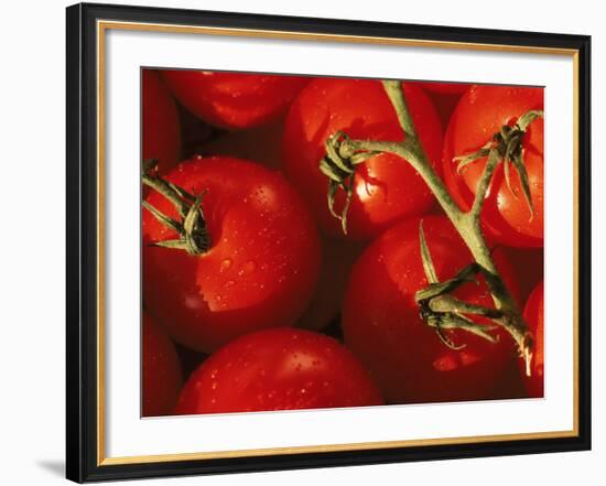 Tomatoes on Vine-Mitch Diamond-Framed Photographic Print