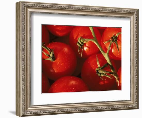 Tomatoes on Vine-Mitch Diamond-Framed Photographic Print