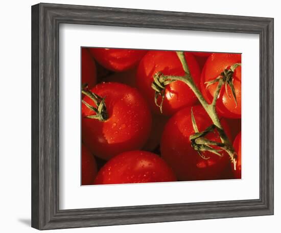 Tomatoes on Vine-Mitch Diamond-Framed Photographic Print