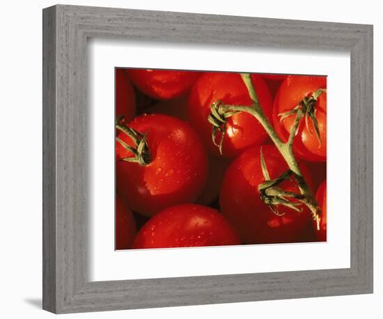 Tomatoes on Vine-Mitch Diamond-Framed Photographic Print