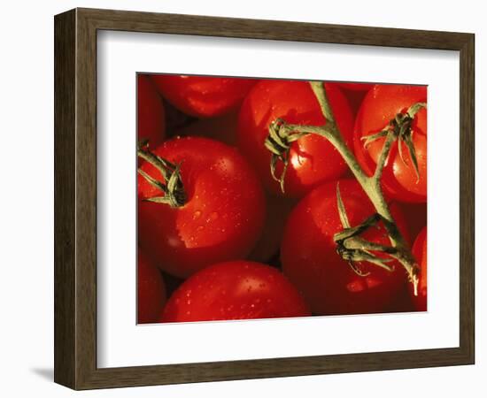 Tomatoes on Vine-Mitch Diamond-Framed Photographic Print