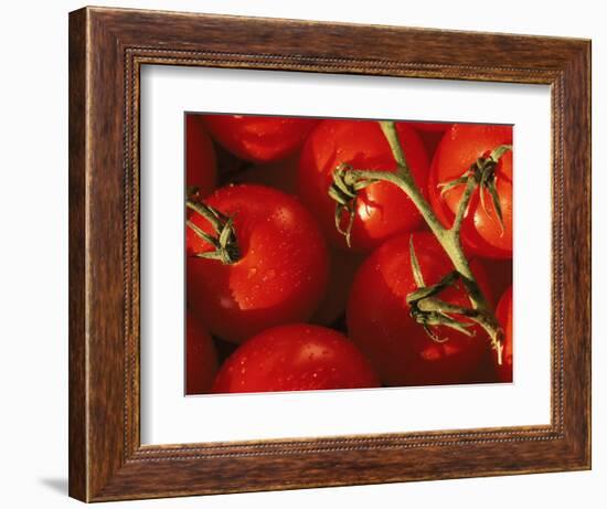 Tomatoes on Vine-Mitch Diamond-Framed Photographic Print