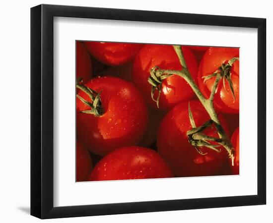 Tomatoes on Vine-Mitch Diamond-Framed Photographic Print