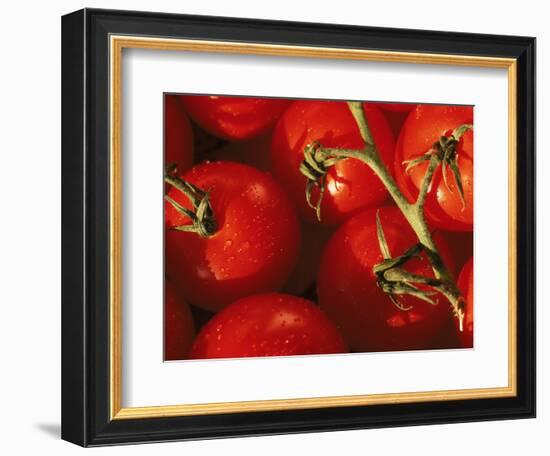 Tomatoes on Vine-Mitch Diamond-Framed Photographic Print