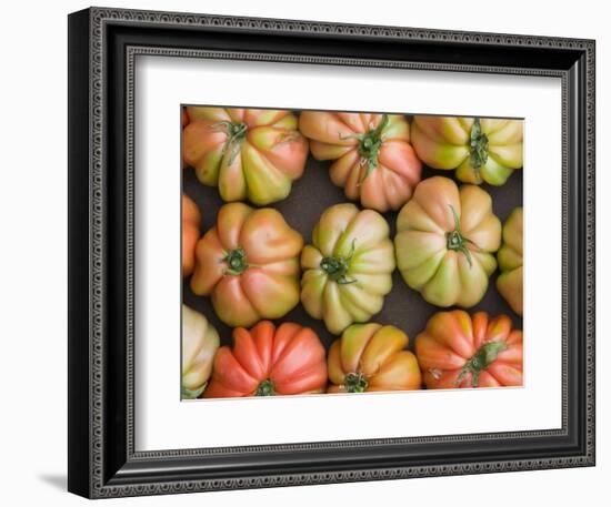 Tomatoes, Positano, Amalfi Coast, Campania, Italy-Walter Bibikow-Framed Photographic Print