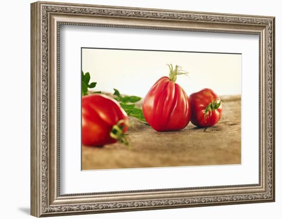 Tomatoes, Variety 'Ochsenherz', Still Life-Axel Killian-Framed Photographic Print