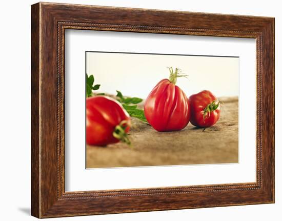 Tomatoes, Variety 'Ochsenherz', Still Life-Axel Killian-Framed Photographic Print