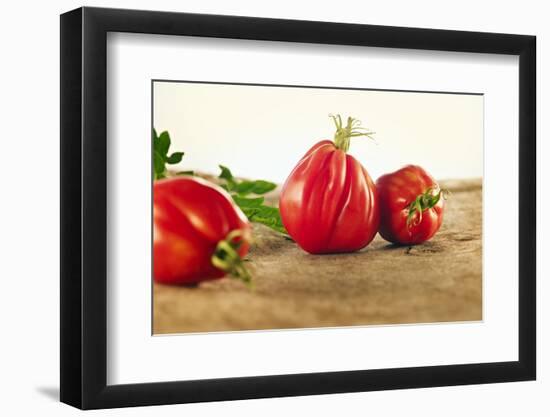 Tomatoes, Variety 'Ochsenherz', Still Life-Axel Killian-Framed Photographic Print