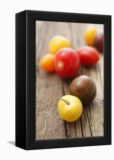 Tomatoes, Wooden Underground-Nikky-Framed Premier Image Canvas