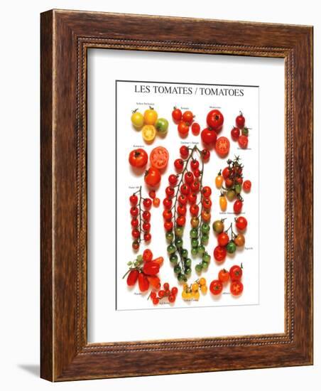 Tomatoes-null-Framed Art Print