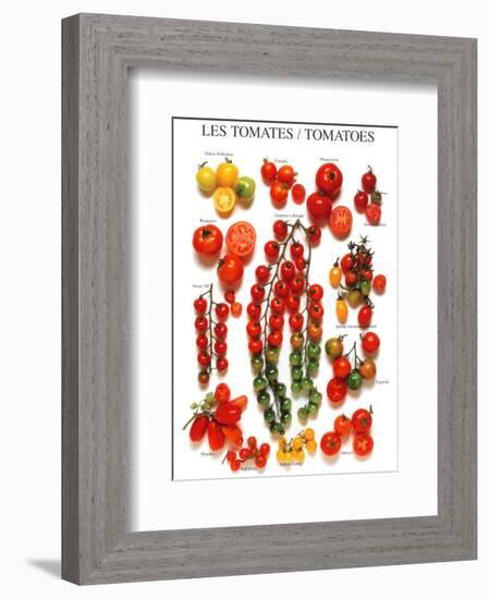 Tomatoes-null-Framed Art Print