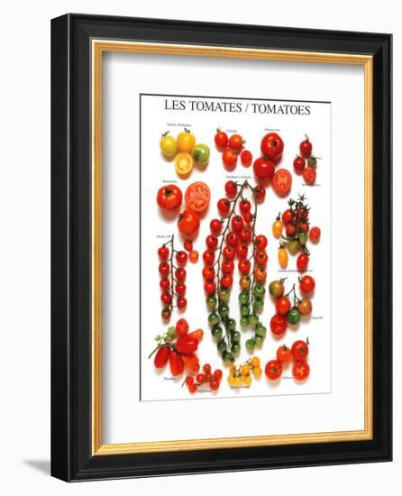 Tomatoes-null-Framed Art Print