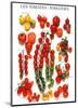 Tomatoes-null-Mounted Art Print