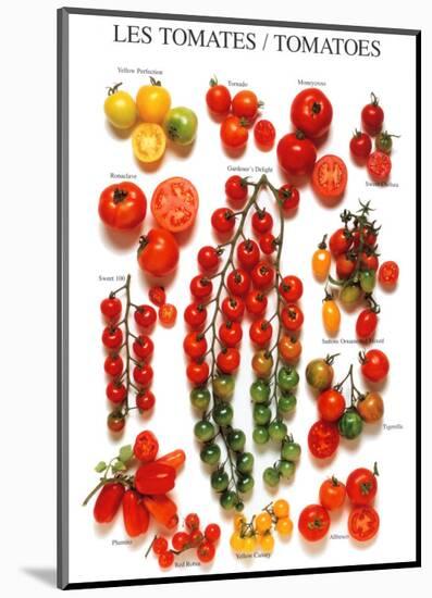 Tomatoes-null-Mounted Art Print