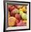 Tomatoes-Stacy Bass-Framed Giclee Print