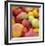 Tomatoes-Stacy Bass-Framed Giclee Print