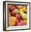 Tomatoes-Stacy Bass-Framed Giclee Print