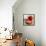 Tomatoes-Mark Sykes-Framed Premier Image Canvas displayed on a wall