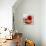 Tomatoes-Mark Sykes-Premium Photographic Print displayed on a wall
