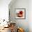 Tomatoes-Mark Sykes-Framed Premium Photographic Print displayed on a wall