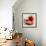 Tomatoes-Mark Sykes-Framed Premium Photographic Print displayed on a wall