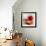 Tomatoes-Mark Sykes-Framed Premium Photographic Print displayed on a wall