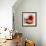Tomatoes-Mark Sykes-Framed Premium Photographic Print displayed on a wall