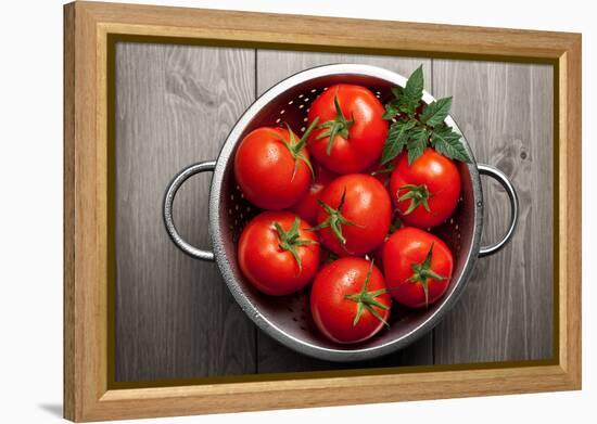 Tomatoes-Bozena_Fulawka-Framed Premier Image Canvas